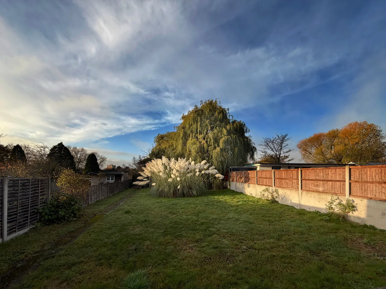 Jardin long et étroit entre deux clôtures, avec des herbes de la pampa et un saule.