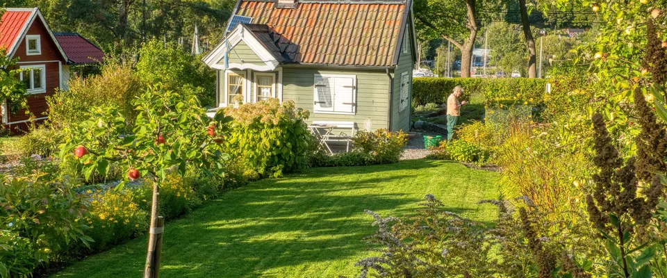 Petit jardin de ville, le segment où un modèle d'entrée de gamme suffit.